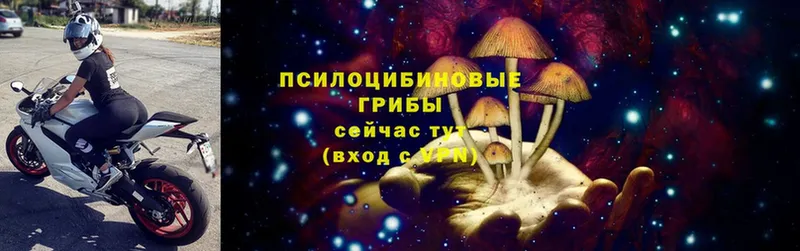 Галлюциногенные грибы Magic Shrooms  OMG маркетплейс  Стрежевой 